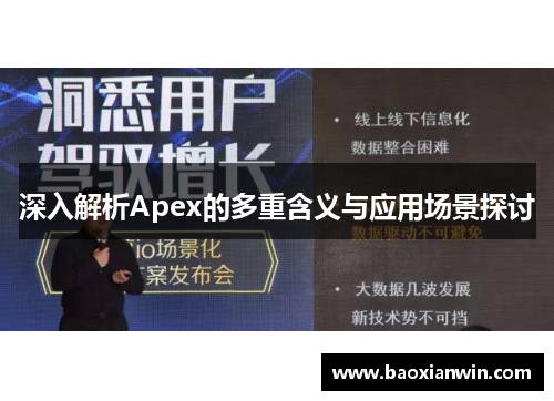 深入解析Apex的多重含义与应用场景探讨